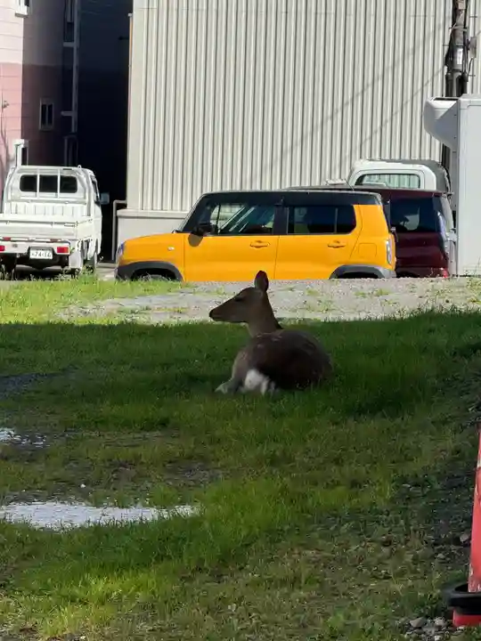 北門神社(北海道)