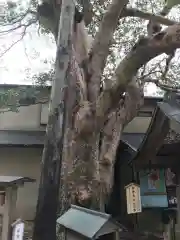 御霊神社の建物その他