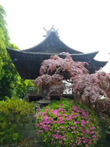 阿智神社の本殿