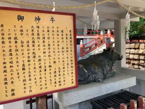 亀戸天神社(東京都)