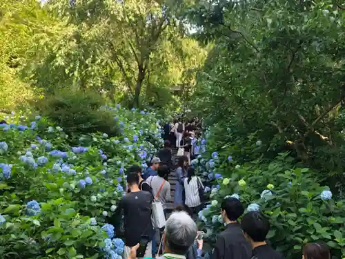 明月院(神奈川県)