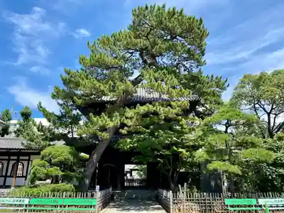 泉岳寺(東京都)