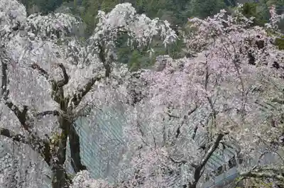 久遠寺(山梨県)
