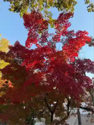 真正極楽寺（真如堂）(京都府)