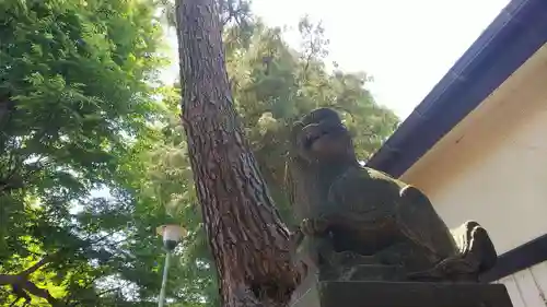 神山氷川神社の狛犬