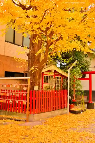 銀杏岡八幡神社(東京都)