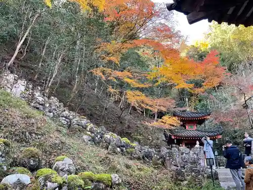 愛宕念仏寺(京都府)
