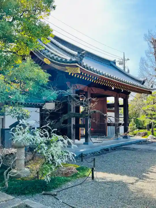 善徳寺の{uncategorized: "未分類", other: "その他", undefined: "問題あり", building: "その他建物", grave: "お墓", sacred_gate: "鳥居", guardian: "狛犬", statue: "像", buddha: "仏像", history: "歴史", nature: "自然", garden: "庭園", animal: "動物", pagoda: "塔", temizu: "手水舎", mountain_gate: "山門・神門", sanctuary: "本殿・本堂", subordinate: "末社・摂社", art: "芸術", scenery: "景色", jizo: "地蔵", ema: "絵馬", goshuin: "御朱印", omikuji: "おみくじ", items: "授与品その他", amulet: "お守り", goshuincho: "御朱印帳", eats: "食事", festival: "お祭り", votive_dance: "神楽", shichigosan: "七五三参", wedding: "結婚式", experience: "体験その他", initially: "初詣", around: "周辺", anti_infection: "感染症対策"}