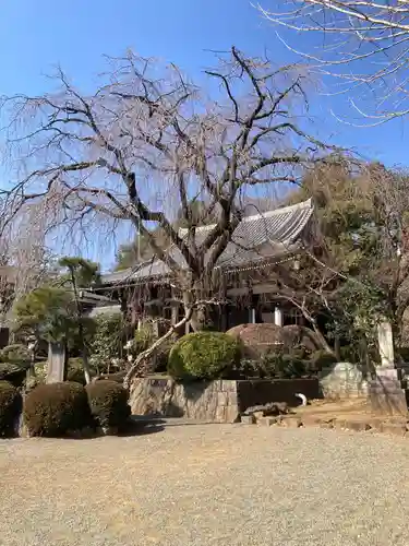 青柳寺(神奈川県)