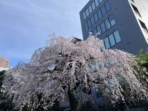 日蓮宗　浄運寺(東京都)