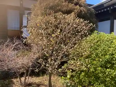 東勝寺(神奈川県)