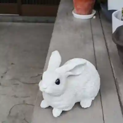 彌彦神社　(伊夜日子神社)の像