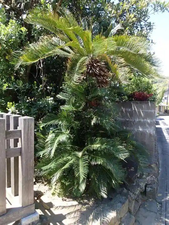 下宮(出雲大社末社)の自然