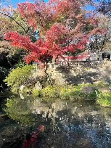 深大寺の庭園