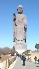 東本願寺本廟 牛久浄苑（牛久大仏）の仏像