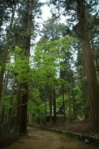 高山寺の建物その他