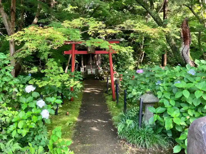 本土寺(千葉県)