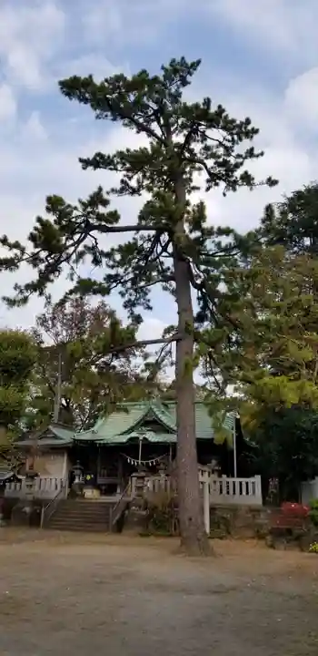 大曽根八幡神社の自然