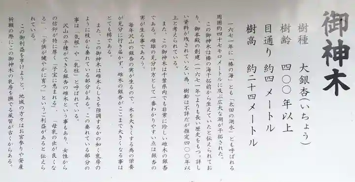 鎌数伊勢大神宮の歴史