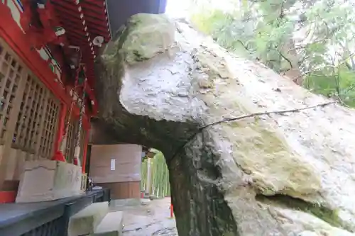 日枝神社の自然