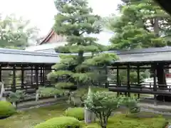 大覚寺(京都府)