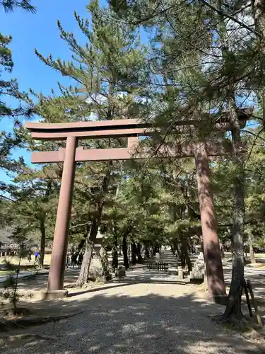出雲大社(島根県)