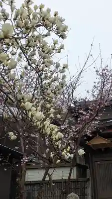 蓮経寺(滋賀県)