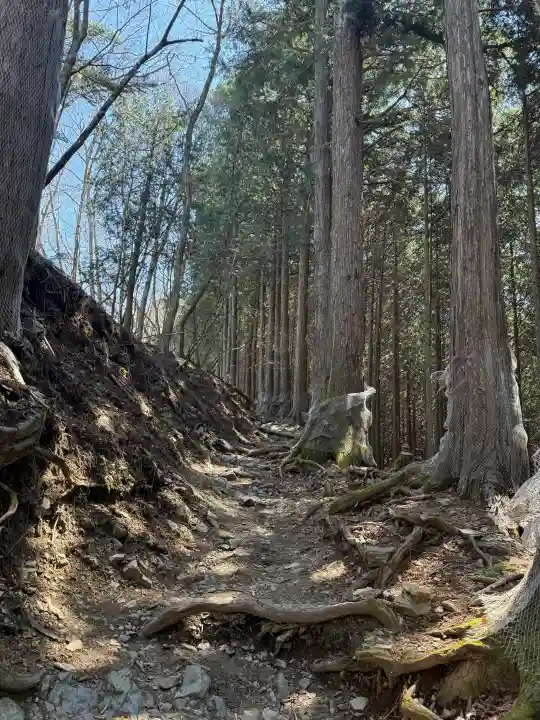 三峯神社奥宮の{uncategorized: "未分類", other: "その他", undefined: "問題あり", building: "その他建物", grave: "お墓", sacred_gate: "鳥居", guardian: "狛犬", statue: "像", buddha: "仏像", history: "歴史", nature: "自然", garden: "庭園", animal: "動物", pagoda: "塔", temizu: "手水舎", mountain_gate: "山門・神門", sanctuary: "本殿・本堂", subordinate: "末社・摂社", art: "芸術", scenery: "景色", jizo: "地蔵", ema: "絵馬", goshuin: "御朱印", omikuji: "おみくじ", items: "授与品その他", amulet: "お守り", goshuincho: "御朱印帳", eats: "食事", festival: "お祭り", votive_dance: "神楽", shichigosan: "七五三参", wedding: "結婚式", experience: "体験その他", initially: "初詣", around: "周辺", anti_infection: "感染症対策"}