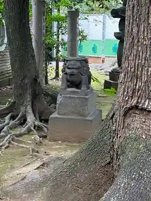 赤坂氷川神社の狛犬