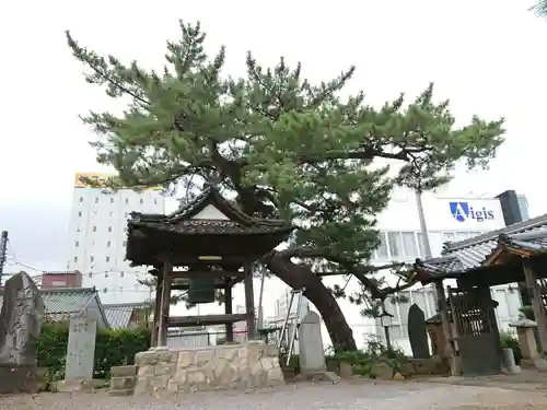 善立寺のその他建物