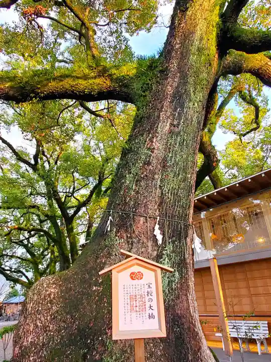 北岡神社の自然