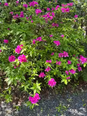 遠見岬神社(千葉県)