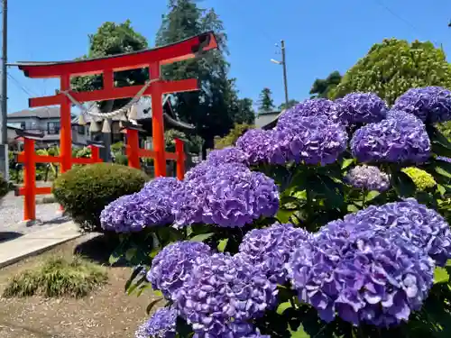 大野神社の庭園