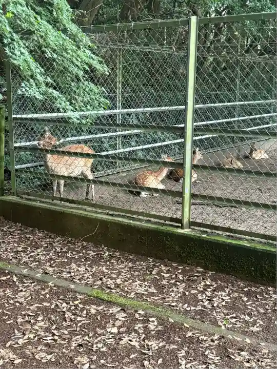 鹿島神宮(茨城県)