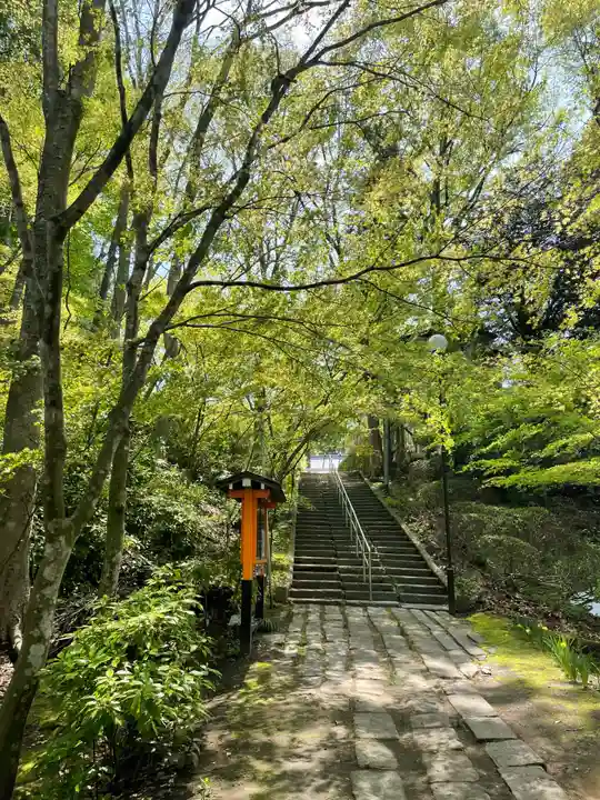 三戸大神宮の自然