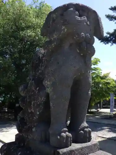 新川神社の狛犬