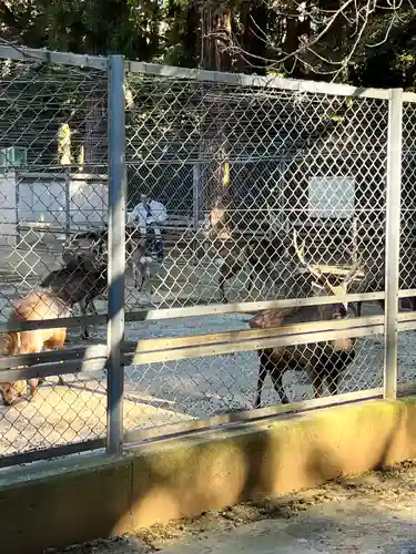 鹿島神宮(茨城県)