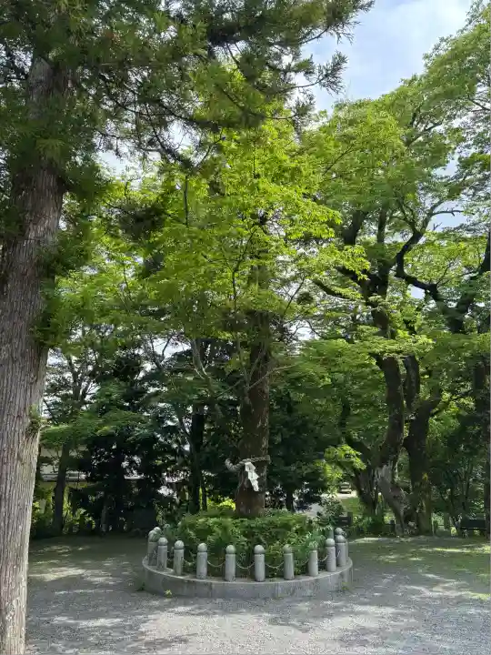 山中諏訪神社(山梨県)
