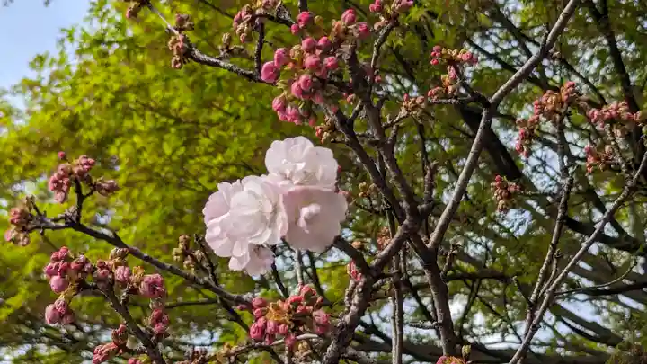 大報恩寺(千本釈迦堂)(京都府)