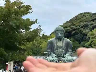 高徳院(神奈川県)
