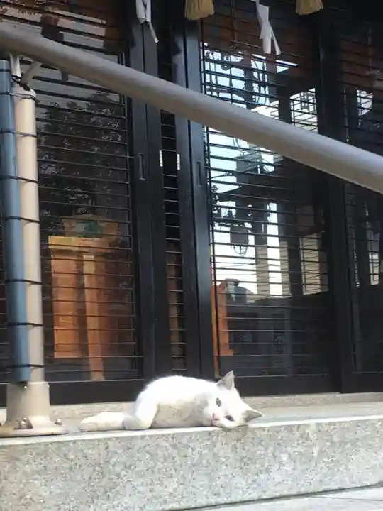 城岡神社の動物