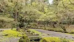 醍醐寺(京都府)