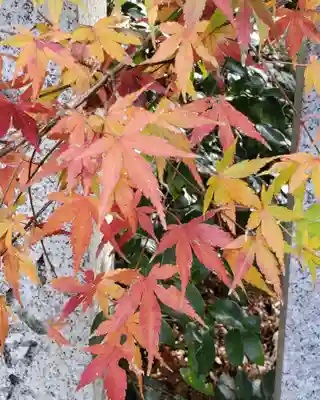 沙沙貴神社(滋賀県)