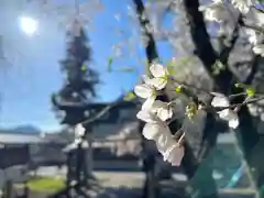 山家神社の自然