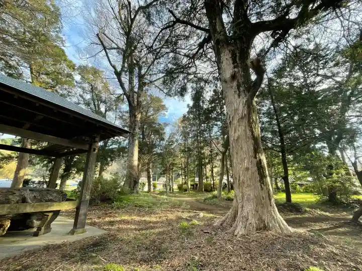 伊那上神社(静岡県)