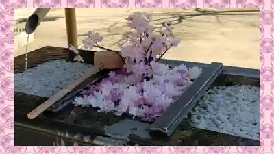 根岸八幡神社(神奈川県)