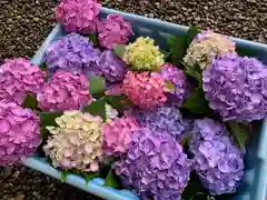 滑川神社 - 仕事と子どもの守り神(福島県)