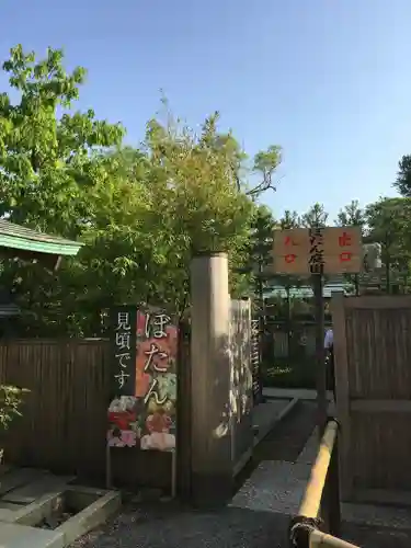 鶴岡八幡宮の庭園