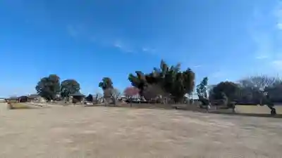 下野薬師寺 (旧 安國寺)の{uncategorized: "未分類", other: "その他", undefined: "問題あり", building: "その他建物", grave: "お墓", sacred_gate: "鳥居", guardian: "狛犬", statue: "像", buddha: "仏像", history: "歴史", nature: "自然", garden: "庭園", animal: "動物", pagoda: "塔", temizu: "手水舎", mountain_gate: "山門・神門", sanctuary: "本殿・本堂", subordinate: "末社・摂社", art: "芸術", scenery: "景色", jizo: "地蔵", ema: "絵馬", goshuin: "御朱印", omikuji: "おみくじ", items: "授与品その他", amulet: "お守り", goshuincho: "御朱印帳", eats: "食事", festival: "お祭り", votive_dance: "神楽", shichigosan: "七五三参", wedding: "結婚式", experience: "体験その他", initially: "初詣", around: "周辺", anti_infection: "感染症対策"}