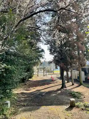 天満宮(栃木県)